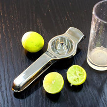 0132B Stainless Steel Lemon Squeezer 