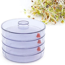 070 Plastic 4 Compartment Sprout Maker, White Raj Sales and service