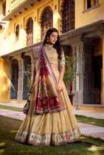 Organza Zari Weaving Lehenga With Paithani Dupatta  CRM