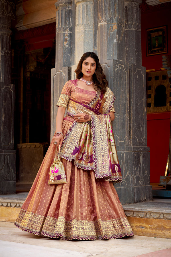 Organza Zari Weaving Lehenga With Paithani Dupatta  PEC