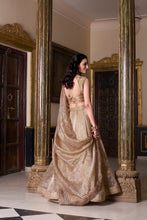 Gold Crush Plain Lehenga For Women CHK