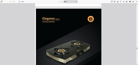 SAFELINE ELGN -1 2BURNER  Auto-ignition gas stoves