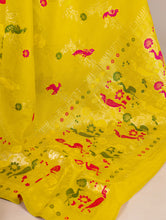Naylon Weaving Work Saree LMN